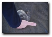 [Click to enlarge]